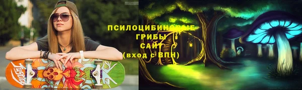 а пвп мука Белокуриха